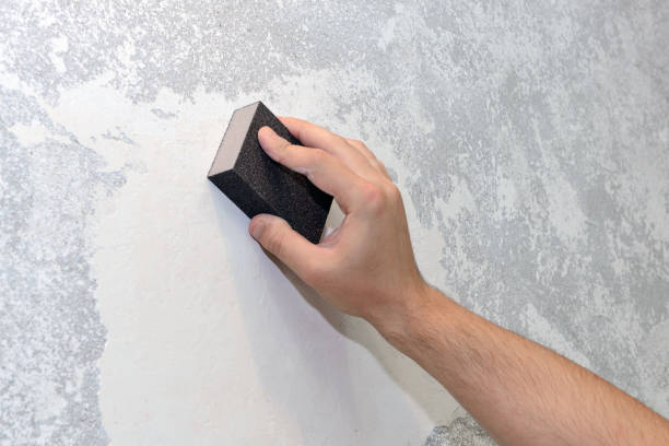Best Crawl Space Mold Remediation  in Irvington, NY