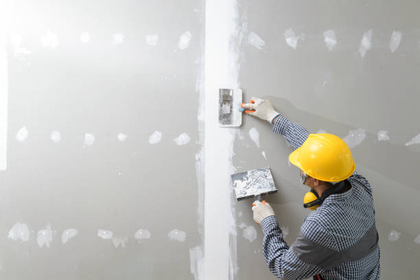 Best Mold Remediation for Healthcare Facilities  in Irvington, NY