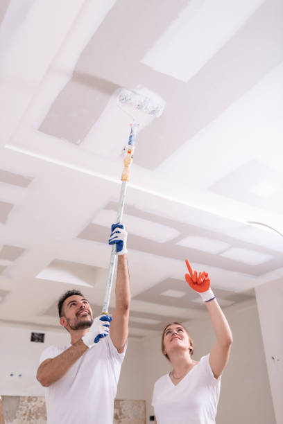 Best Mold Remediation for Rental Properties  in Irvington, NY