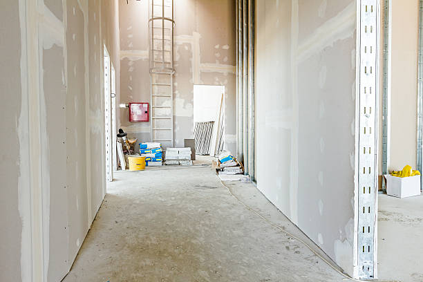 Best Mold Prevention Services  in Irvington, NY